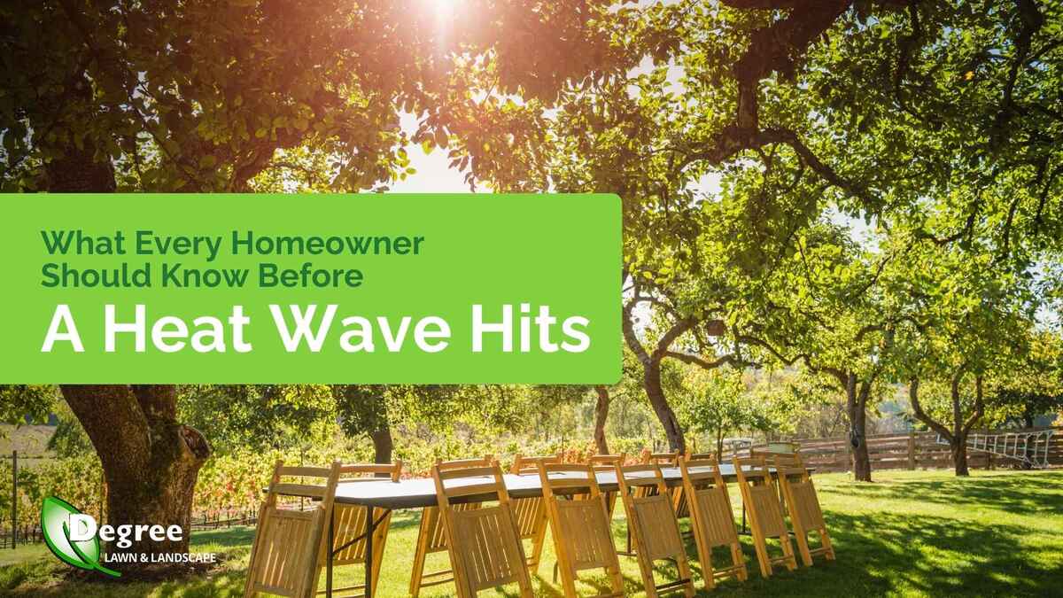 What Every Homeowner Should Know Before a Heat Wave Hits